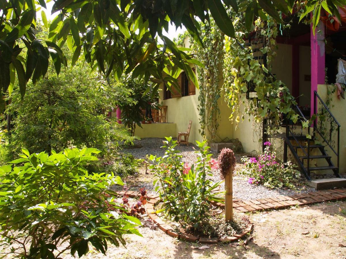 Hotel Sistarasta Palomino Exterior foto